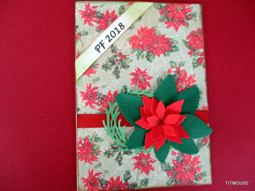 Poinsettia — foto 2