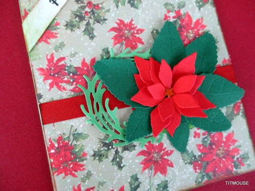 Poinsettia — foto 3