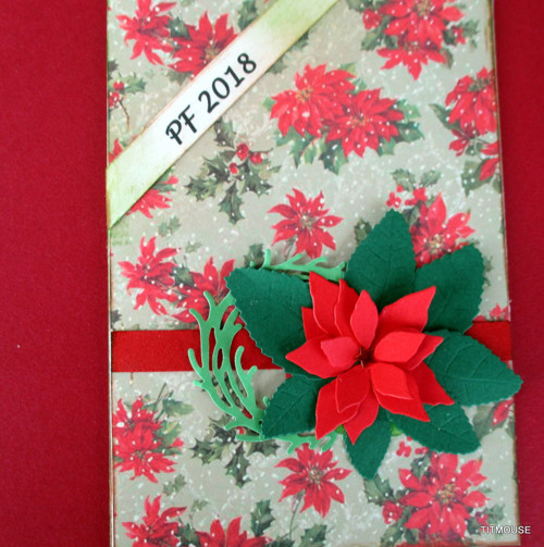 Poinsettia — foto 4