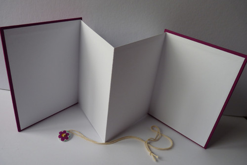 Fotoleporelo - minialbum — foto 2