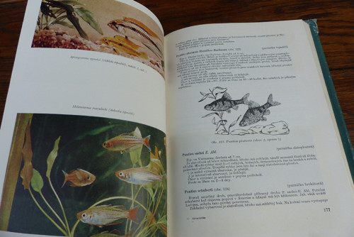 Akvaristika, G. Sterba, 1960 — foto 2