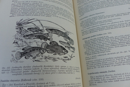 Akvaristika, G. Sterba, 1960 — foto 3