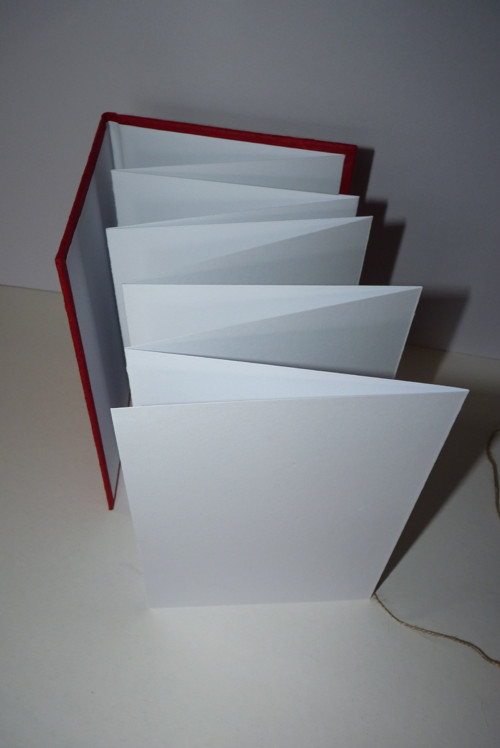 Fotoleporelo - minialbum — foto 5