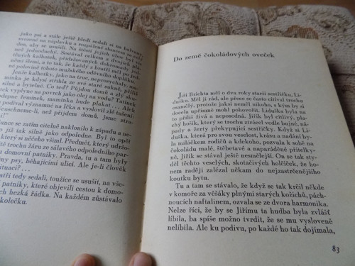 Růžová perla Helena Dvořáková — foto 4