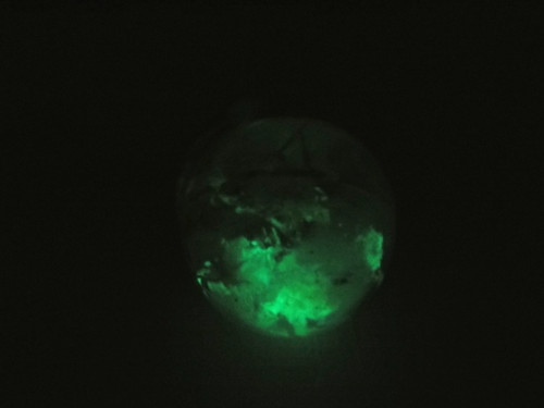 Luminka květinka — foto 2