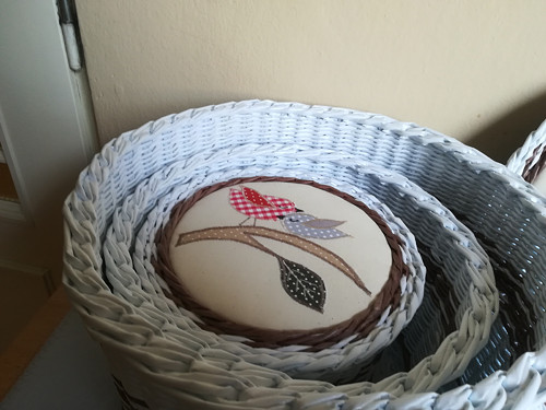 Kulaťák velký — foto 5