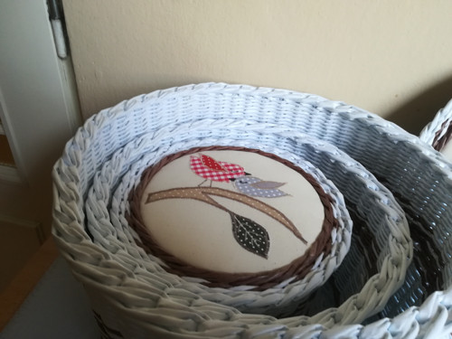 Kulaťák střední — foto 5