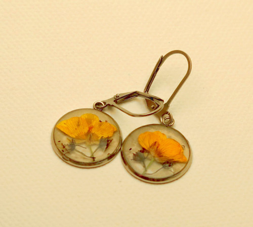 Pryskyřník - souprava — foto 2