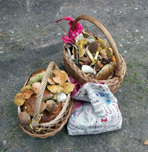 Houby v octě; podzimní směs — foto 2