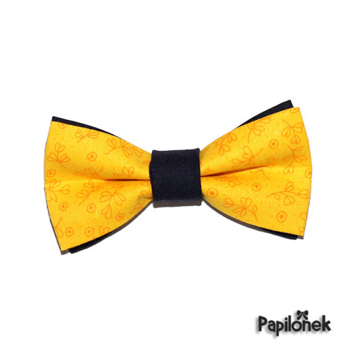 Pánský motýlek - Papilónek blatouchový — foto 2