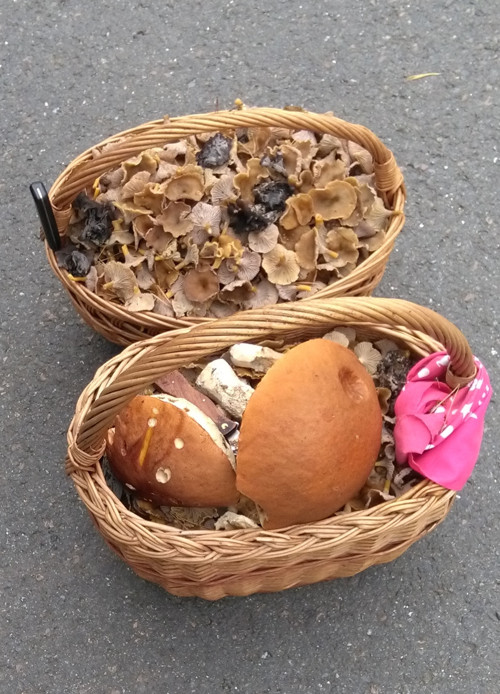 Houby v octě; směs - 250 gramů — foto 3