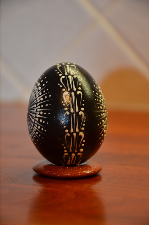 Kraslice černá — foto 3