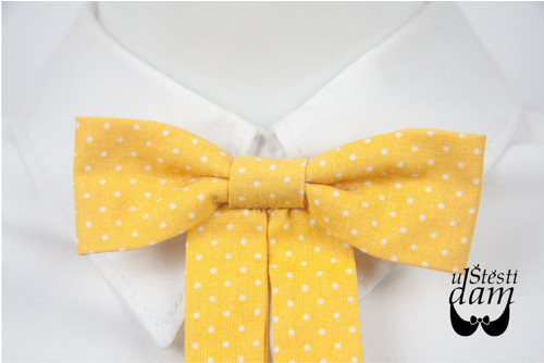 Krásná mašle Yellowýýýna — foto 2