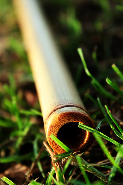 Koncovka Bambooo — foto 5