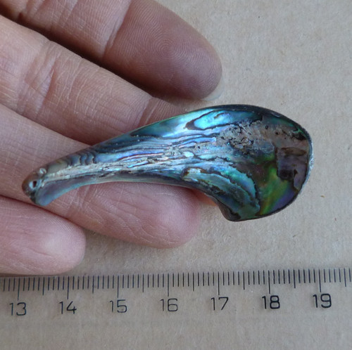 Perleť Paua - 5,5 x 2,2 x 0,5 cm — foto 2