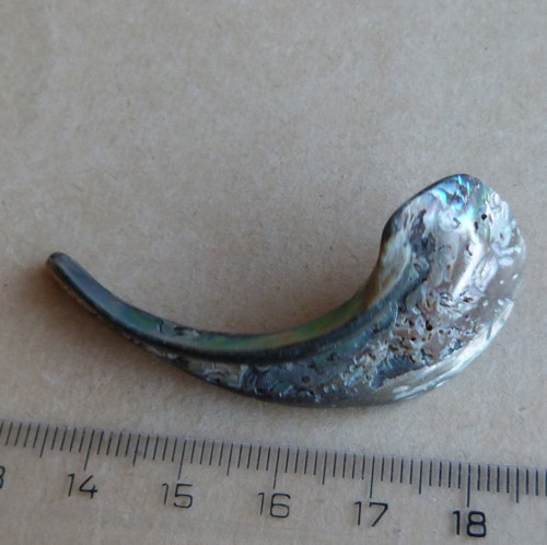 Perleť Paua - 5,5 x 2,2 x 0,5 cm — foto 3