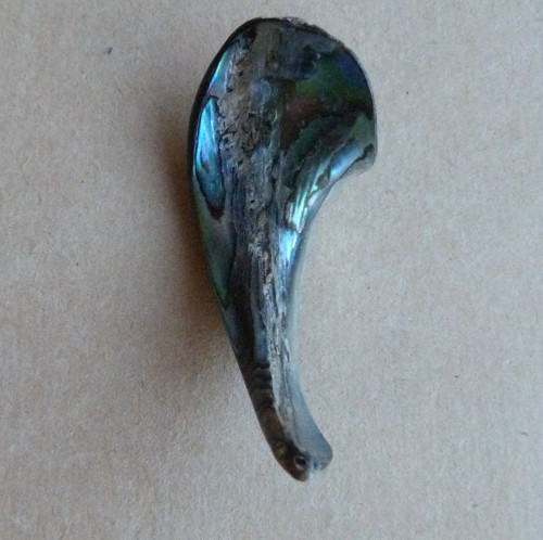 Perleť Paua - 5,5 x 2,2 x 0,5 cm — foto 4