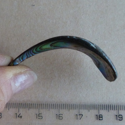 Perleť Paua - 5,5 x 2,2 x 0,5 cm — foto 5