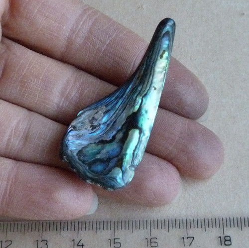 Perleť Paua - 4,7 x 2,2 x 0,4 cm — foto 2