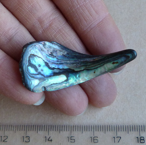 Perleť Paua - 4,7 x 2,2 x 0,4 cm — foto 3