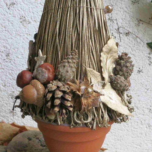 Stromeček-Zlaté proutí — foto 2