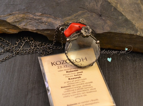 Lupa - korál — foto 4