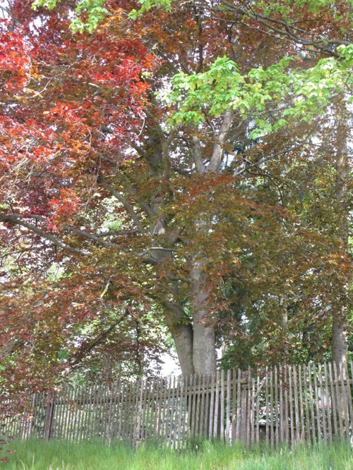 Spojení protikladů — foto 5