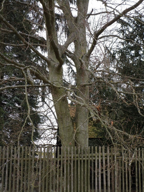 Spojení protikladů — foto 6