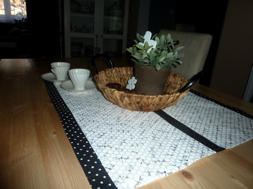 Zimní běhoun vážka — foto 2