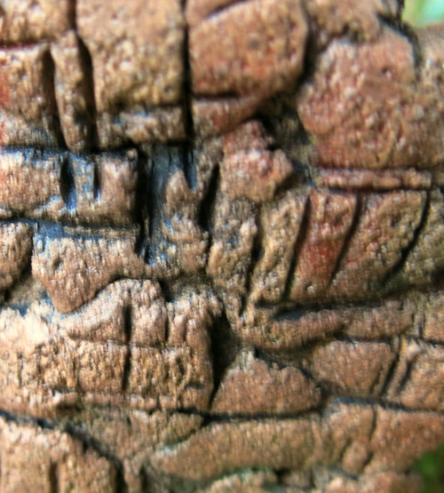 ASTRÁLNÍ "ČÁRA" — foto 4