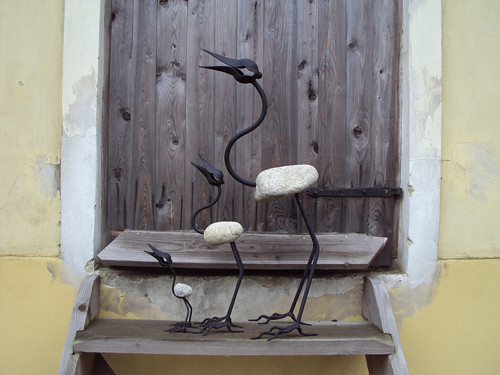 Pták velký — foto 2