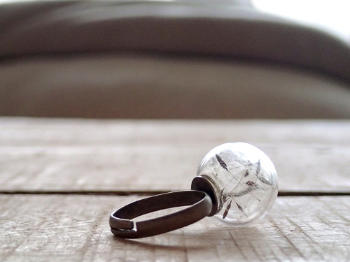 Make a wish — foto 2