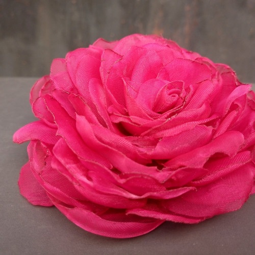 Raspberry — foto 3