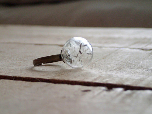 Make a wish — foto 2