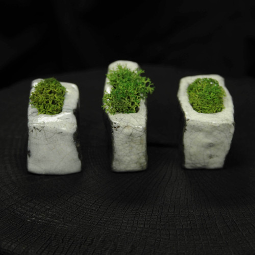 Miniatúrna RAKU záhrada — foto 6