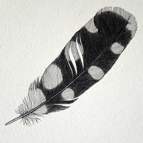 Pírko - originál — foto 2