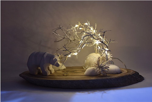 Adventní PolarBearVisit — foto 2