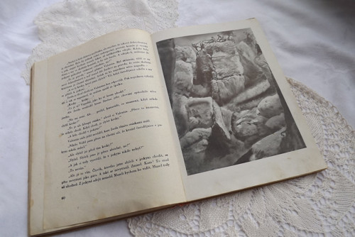 Kamarád z údolí obrů — foto 5