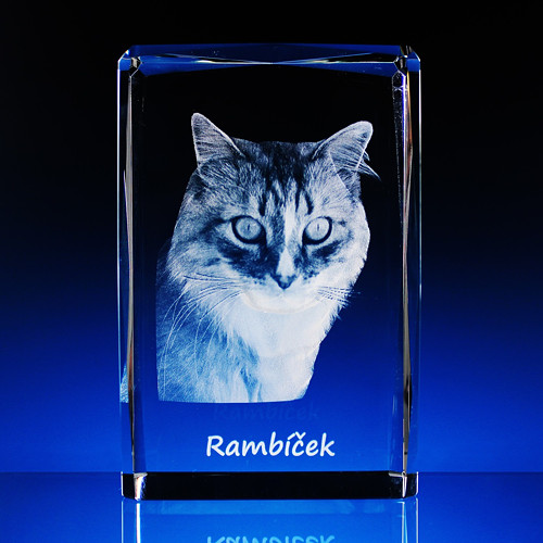 Můj mazlíček ve 3D — foto 3