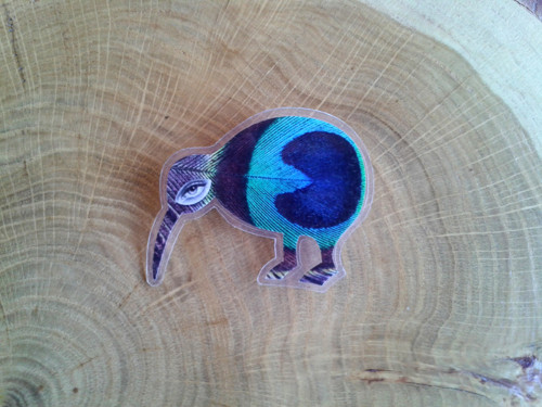 Kiwi ptáček — foto 2