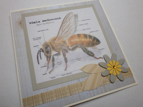 Včelařské přání — foto 3