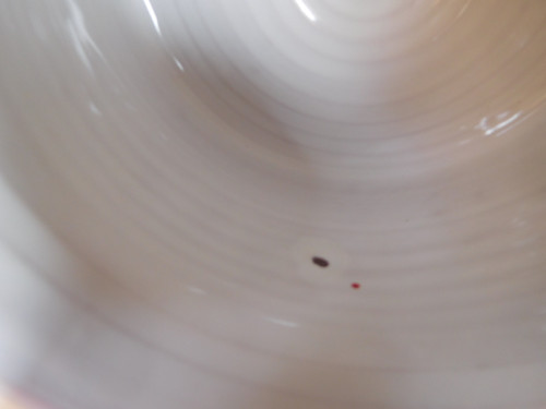 Šípkový s vadou..0,8l — foto 2