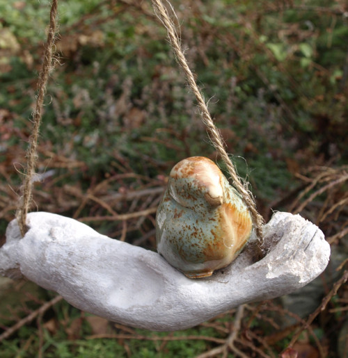 Driftwood a ptáček — foto 4