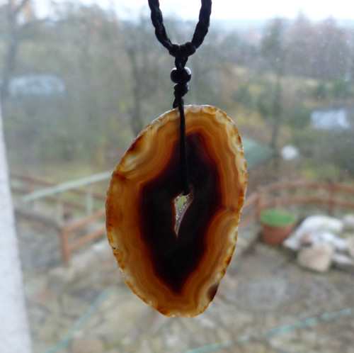 Zrání plodu — foto 4