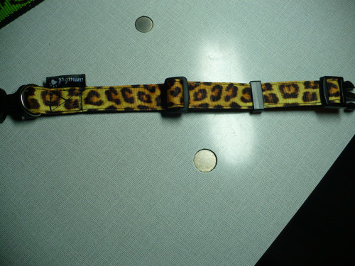Obojek pro pejska - vzor leopard — foto 2
