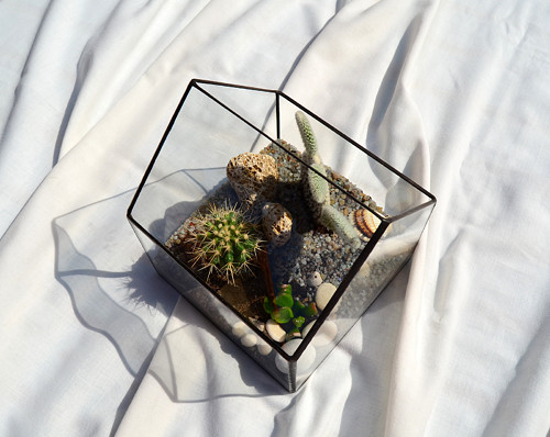 Florarium "Domeček" — foto 6