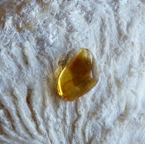 Jantar Extra - 0,8 g — foto 4