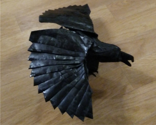 Černý orel — foto 2