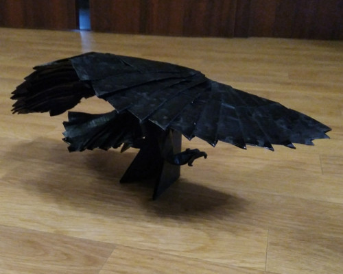 Černý orel — foto 5