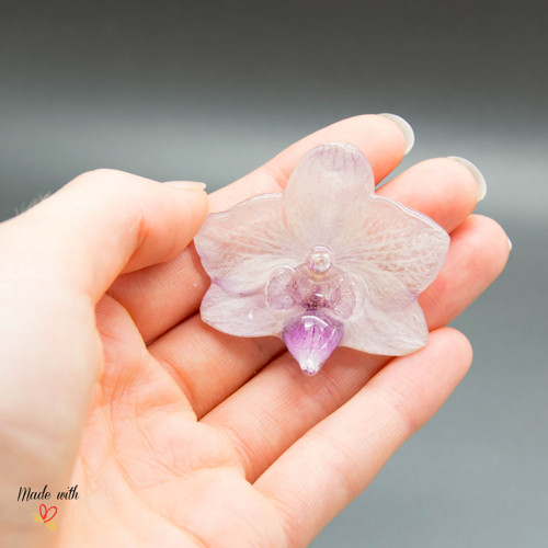 Phalaenopsis malá fialová — foto 4